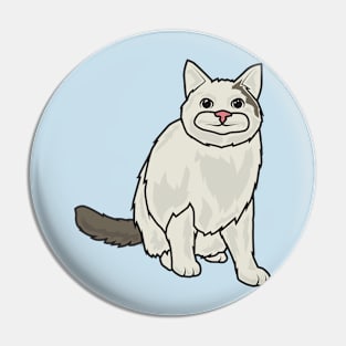 the smiling cat Pin