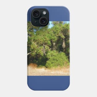 Can't see the forest through the trees Phone Case