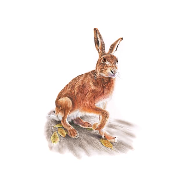 Brown Hare by Mightyfineart