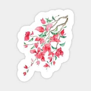 Reddish Pink Bougainvillea flower watercolor 2020 Magnet