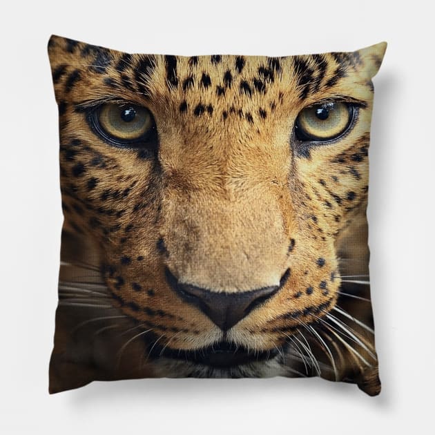 Leopard Cheetah Face Pillow by fuki