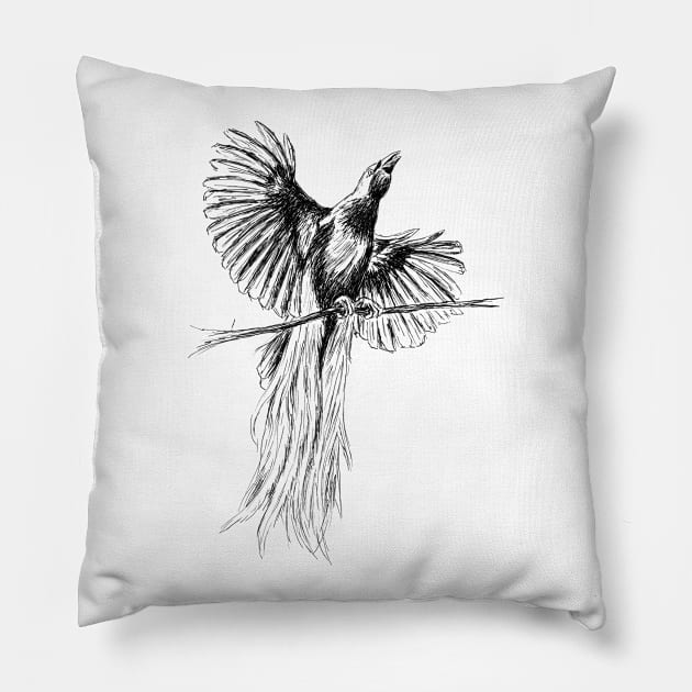 Bird Of Paradise Print Pillow by rachelsfinelines