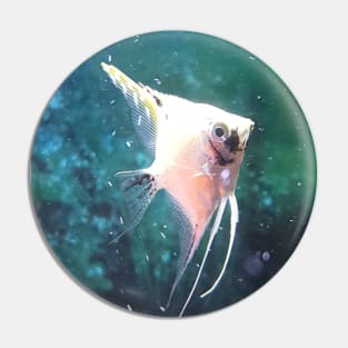 fish Pin