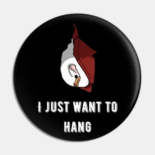 I just want to hang Pin