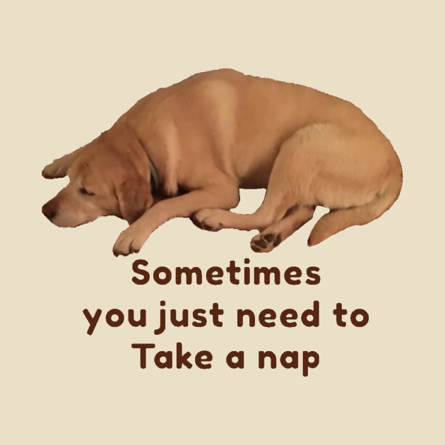 Take A Nap (dog) by Amanda1775