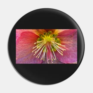 photographic closeup view of a single glowing vivid floral fantasy with delicate and intricate stamens against a black background Pin