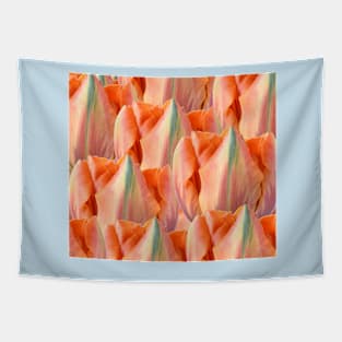 Tulipa  'Orange Princess'   AGM   Double Late Tulip Tapestry