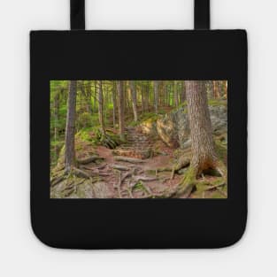 Green Mountain Forest Trail Tote