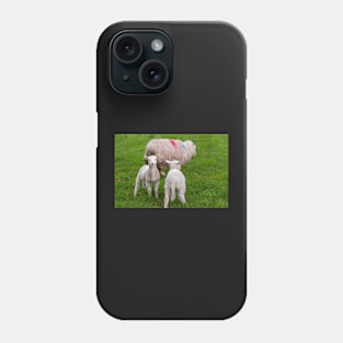 Sheep Phone Case