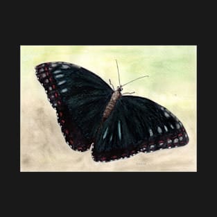 black butterfly T-Shirt