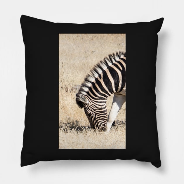 Zebra eating. Pillow by sma1050