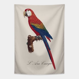 Scarlet Macaw Parrot / L' Ara Canga - Jacques Barraband 19th century Illustration Tapestry