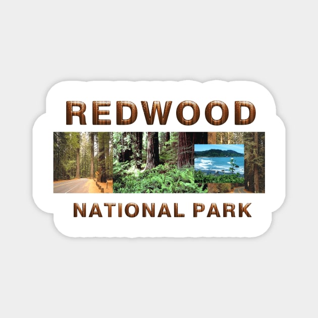 Redwood National Park Magnet by teepossible