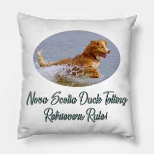 Nova Scotia Duck Tolling Retrievers Rule! Pillow