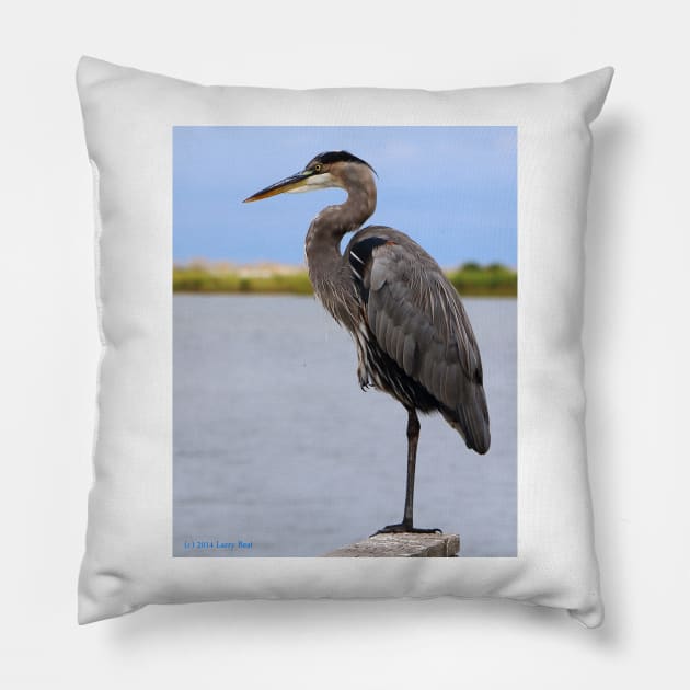 Royal Blue Heron Pillow by BadHabitsLounge