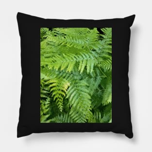 Lush green fern leaves, tropical forest print in vivid colors Pillow