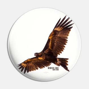 Wedgetail Eagle_03C Pin