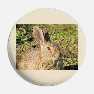 Rabbit, wildlife, gifts, Cute Little Bun bun Pin