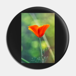 Poppy Pin