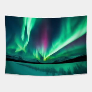 Polar lights, northern lights Tapestry