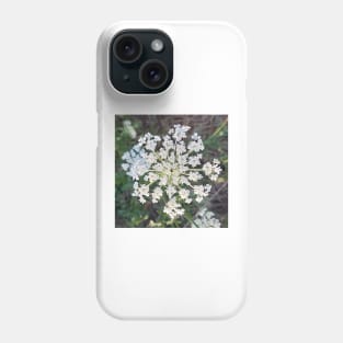 Wild Carrot Flower Phone Case