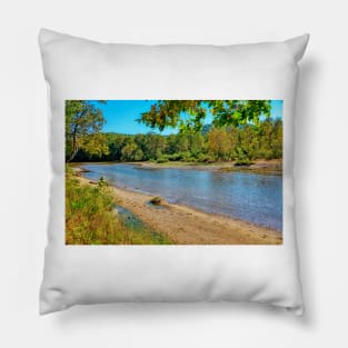 Black River Study 2 Pillow