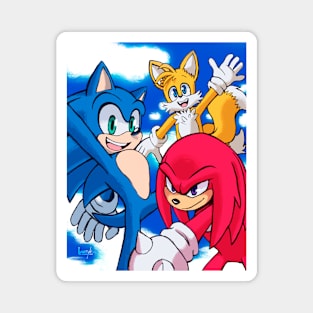 Sonic Heroes Magnet