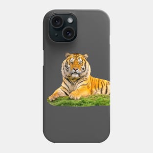 Siberian Tiger looking at YOU! Phone Case