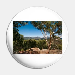 The 'Bungles Pin