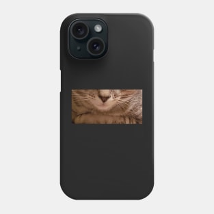 Kitten face! Phone Case