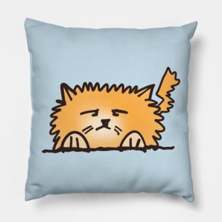 Fluffy Orange Cat Pillow