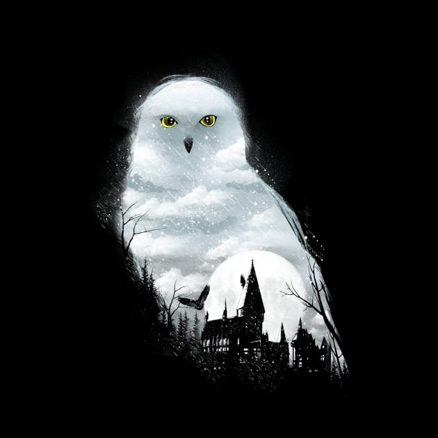Magical Owl by DANDINGEROZZ