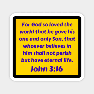 Bible Verse John 3:16 Magnet