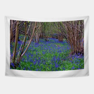 Bluebell Woods Bluebells Basildon Park Reading Berkshire Tapestry