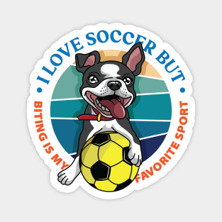 Boston Terrier - Biting is my favorite sport Magnet