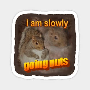 I am slowly going nuts squirrel word art Magnet