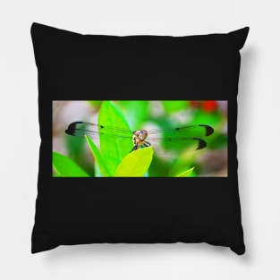 Dragonfly panoramic Pillow