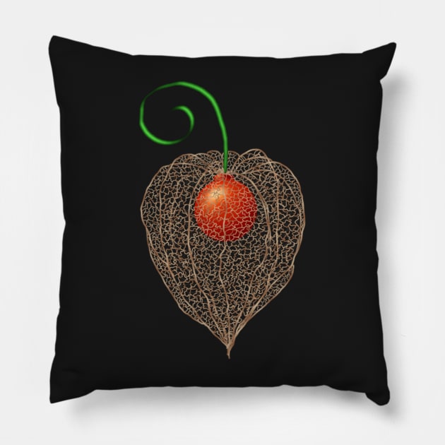 Delicate Chinese Lantern Fruit Art Pillow by H. R. Sinclair