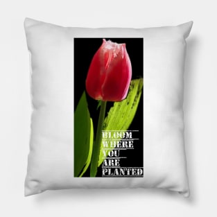 Bloom Where You Are Planted Pillow