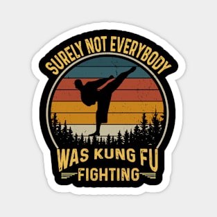 Surely Not Everybody Was Kung Fu Fighting Magnet