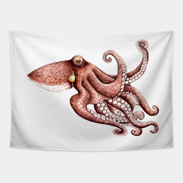 Octopus (Octopus vulgaris) Tapestry by chloeyzoard