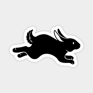 Rabbit Magnet
