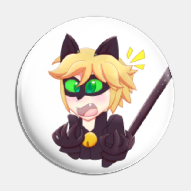 Cat Noir Chat Noir Expressions