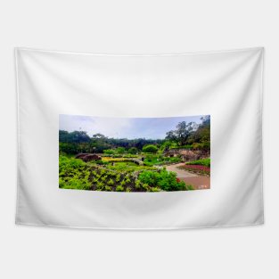 zen garden in houston texas magical photo Tapestry