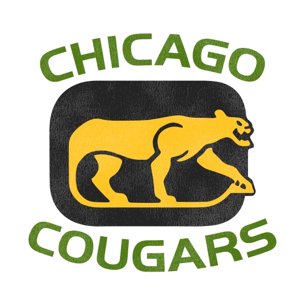 Defunct Chicago Cougars Hockey Team by Defunctland