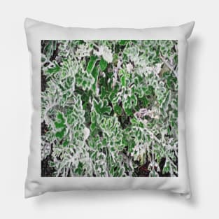 Lush Cineraria Foliage Pillow