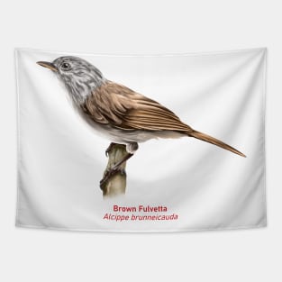 Brown fulvetta | Alcippe brunneicauda Tapestry