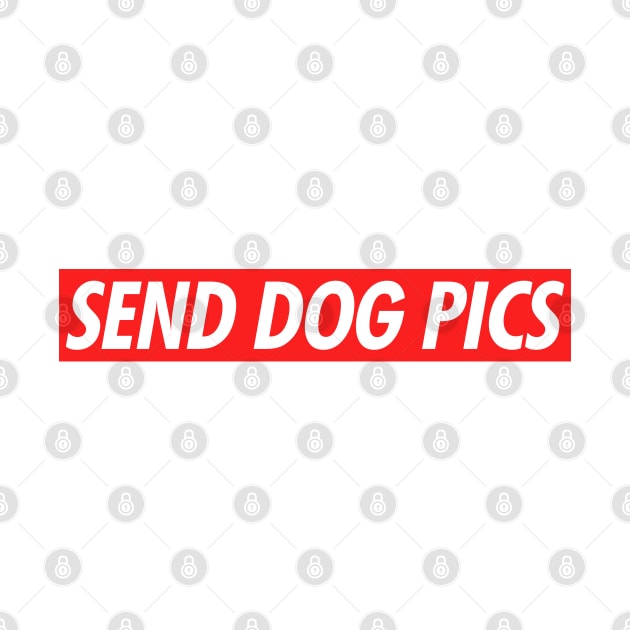 Send Dog Pics by NotoriousMedia