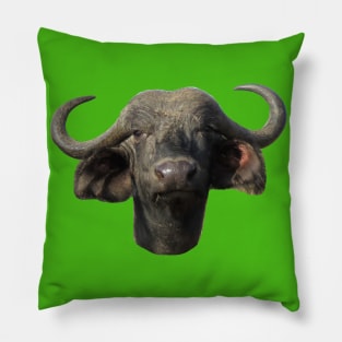 Water Buffalo Ox Portrait Pillow