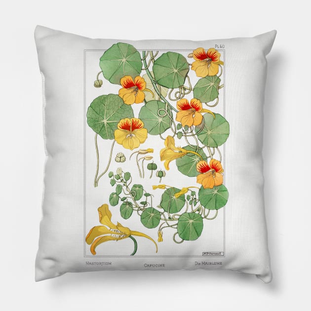 Nasturtium (1896) Pillow by WAITE-SMITH VINTAGE ART